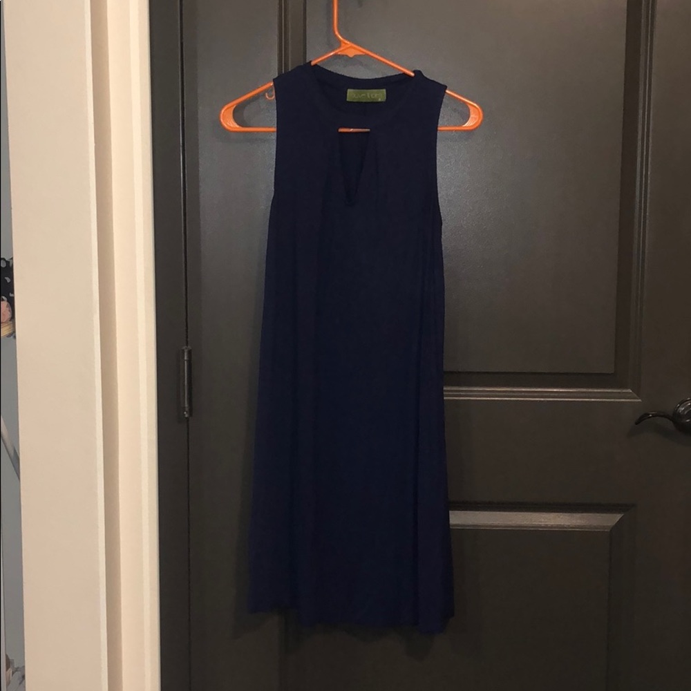 Navy Sleeveless Swing Dress